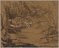 KT 1389
<br/>
Schildpadden
<br/>
<em>Dijsselhof, Gerrit Willem (1866-1924)</em>